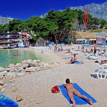 Apartmani Neva Makarska Esterno foto